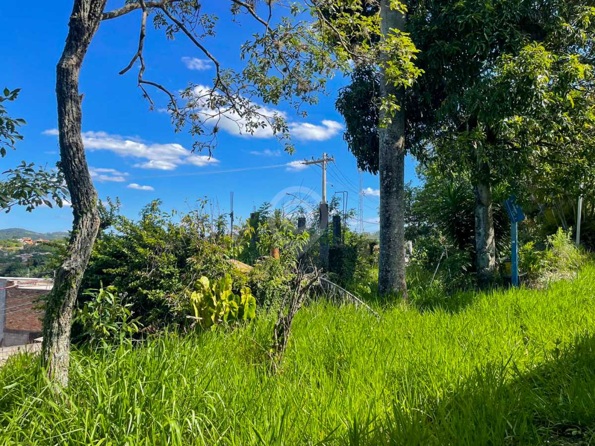 WhatsApp Image 2025-11-28 at 1 - 7