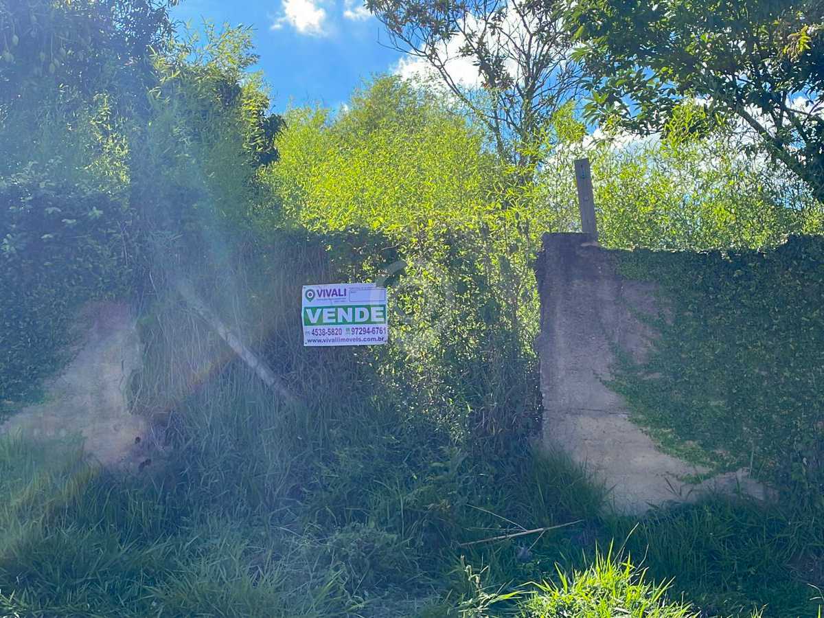 WhatsApp Image 2025-11-28 at 1 - 9