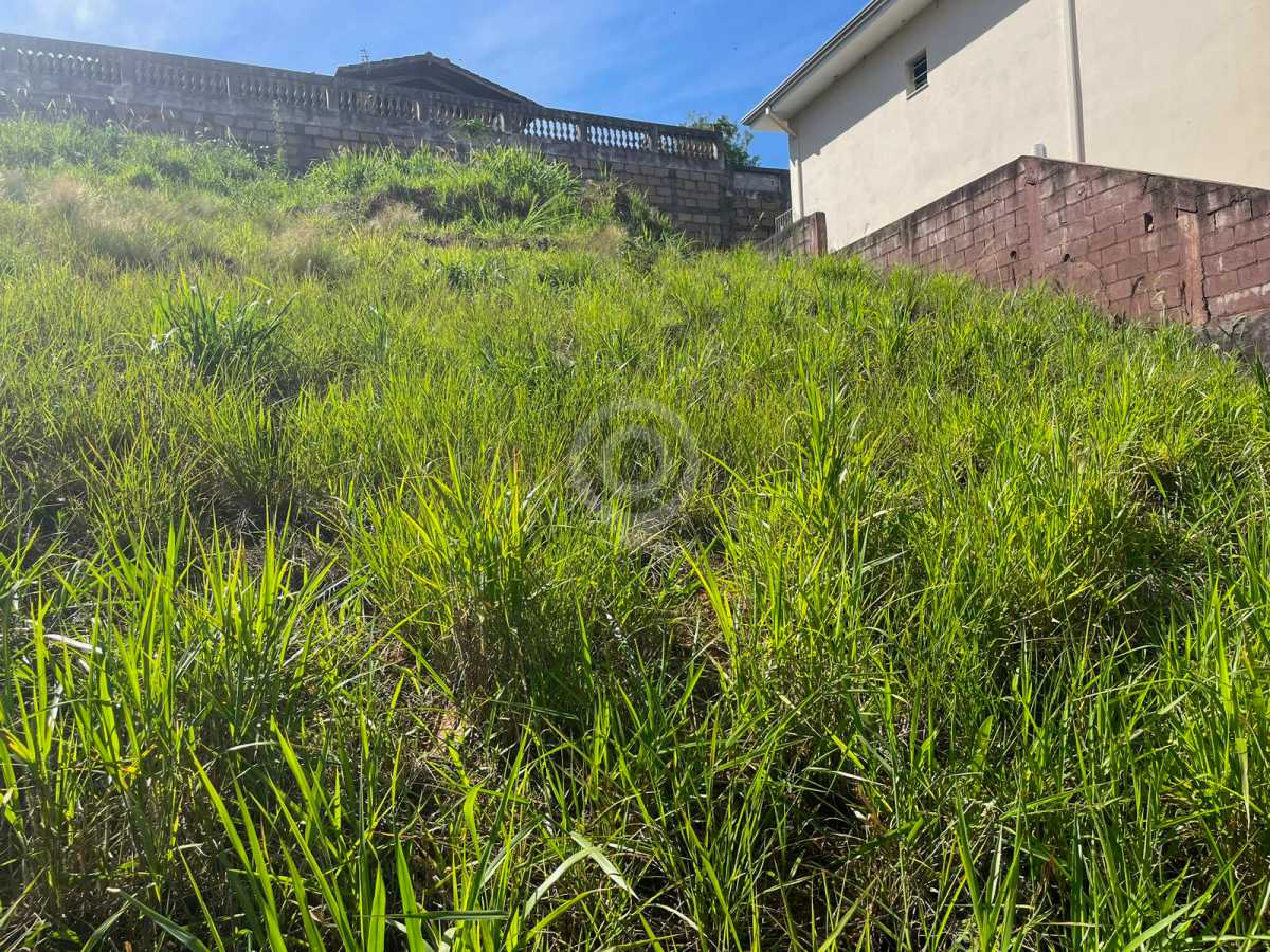 WhatsApp Image 2025-12-09 at 1 - 3