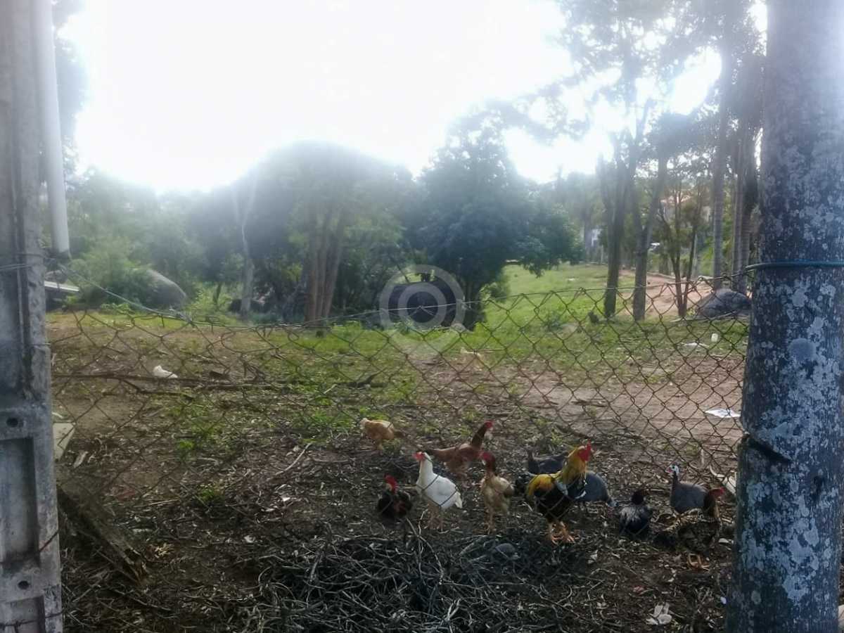 IMG-20250711-WA0055 - 4