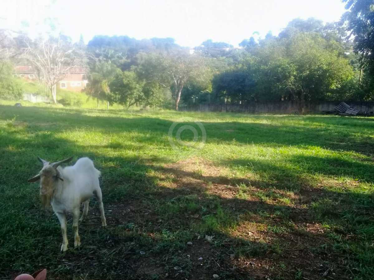 IMG-20250711-WA0056 - 3