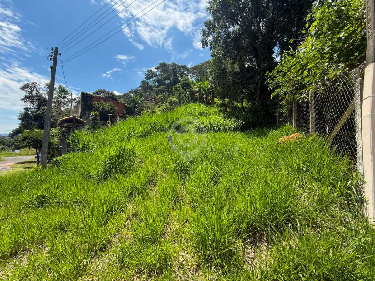 WhatsApp Image 2026-02-18 at 1 - 1