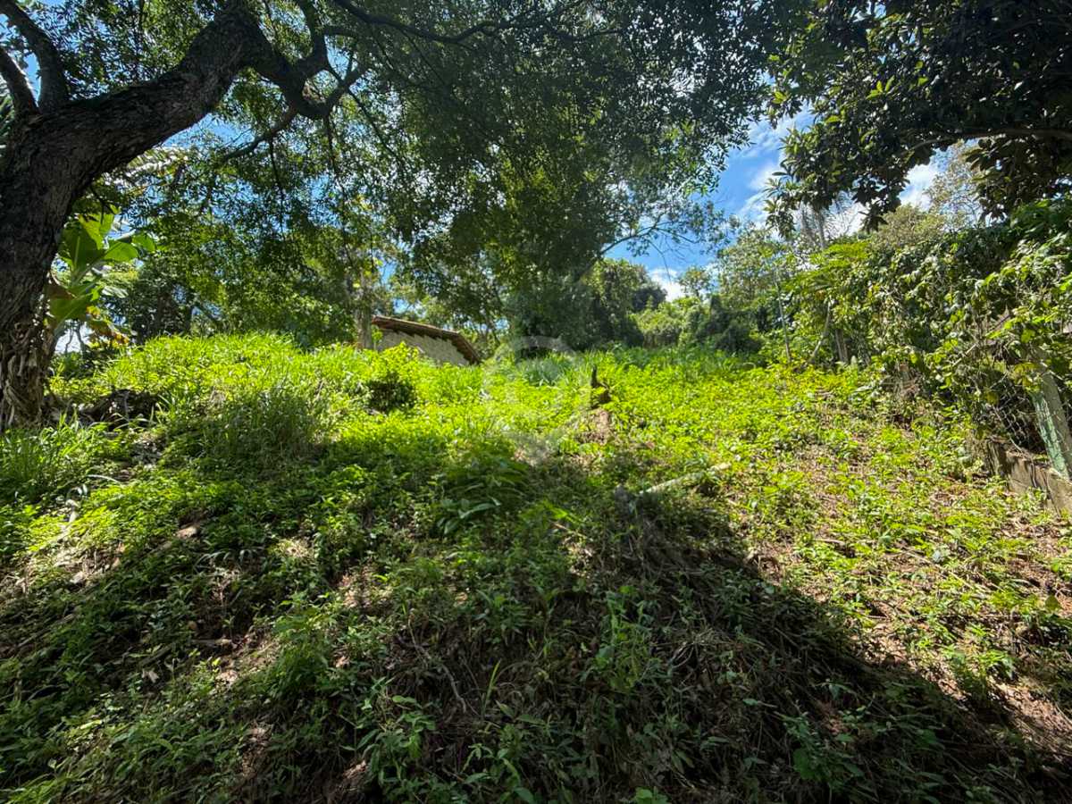 WhatsApp Image 2026-02-18 at 1 - 3