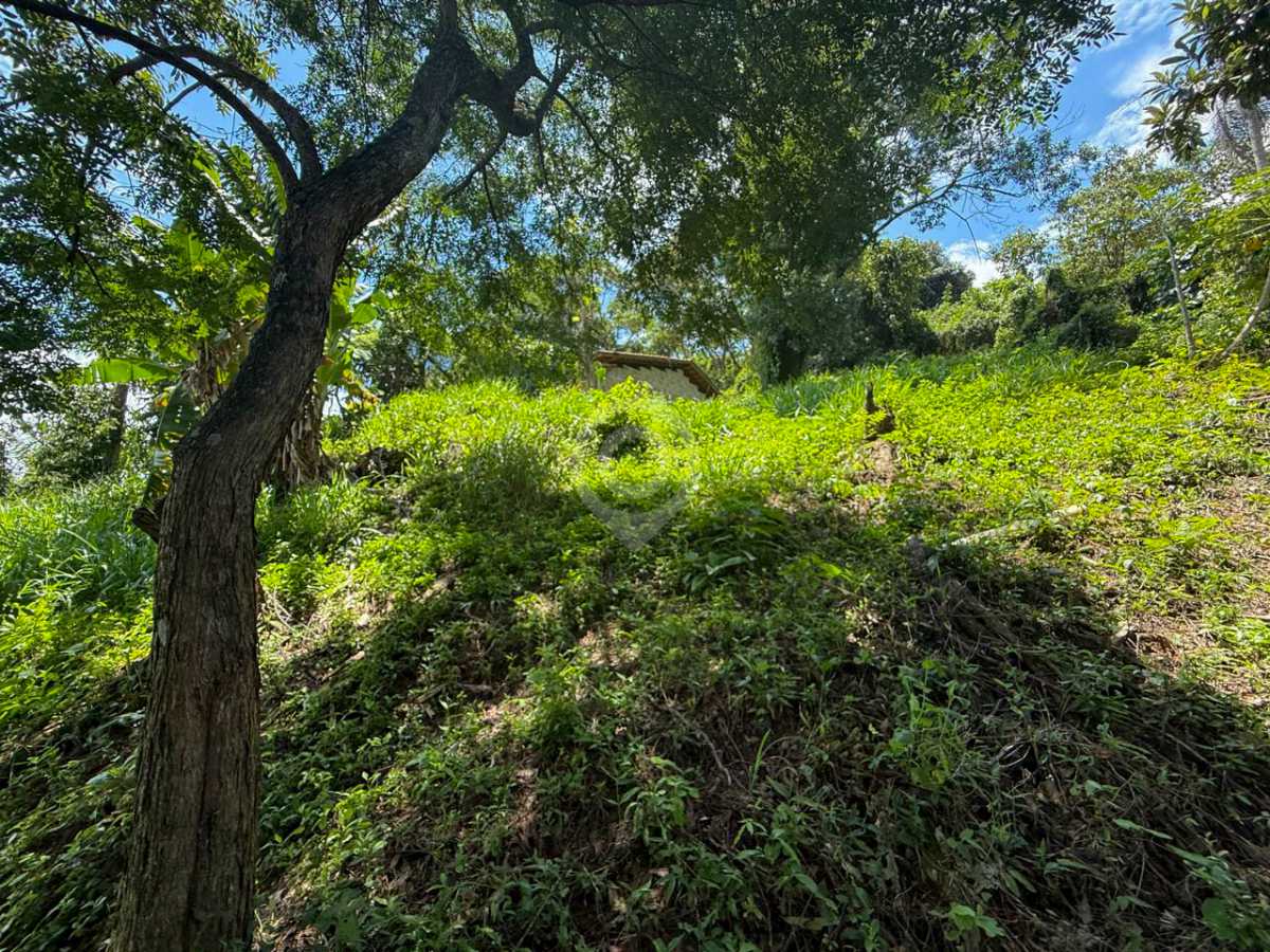 WhatsApp Image 2026-02-18 at 1 - 4