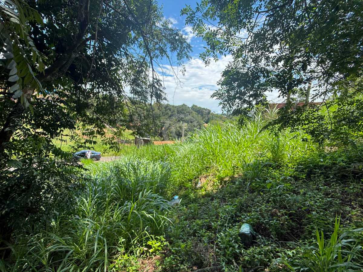 WhatsApp Image 2026-02-18 at 1 - 5