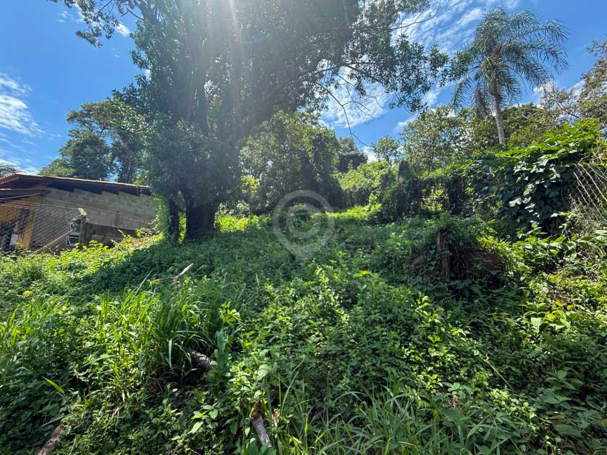 WhatsApp Image 2026-02-18 at 1 - 6