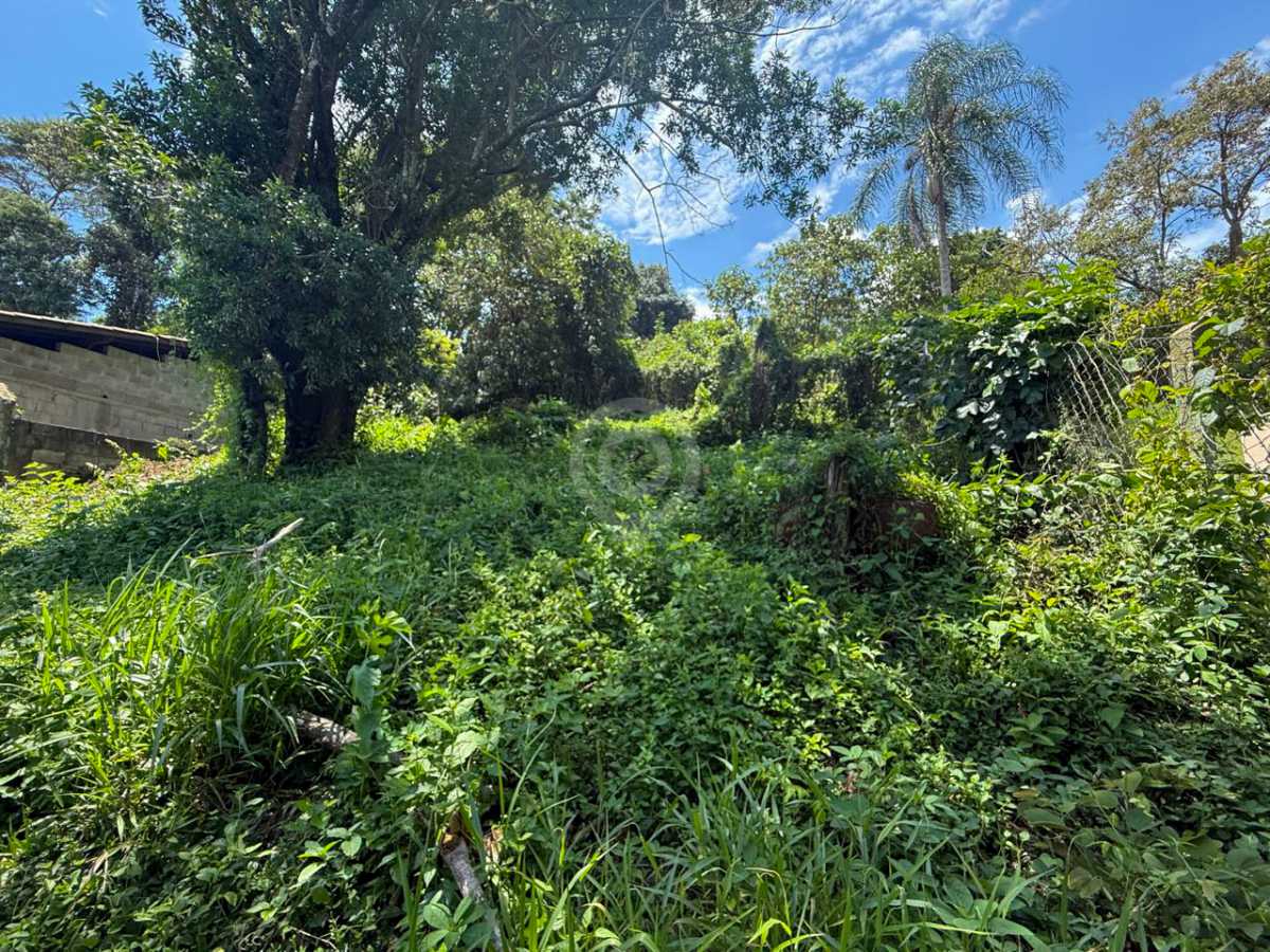 WhatsApp Image 2026-02-18 at 1 - 8