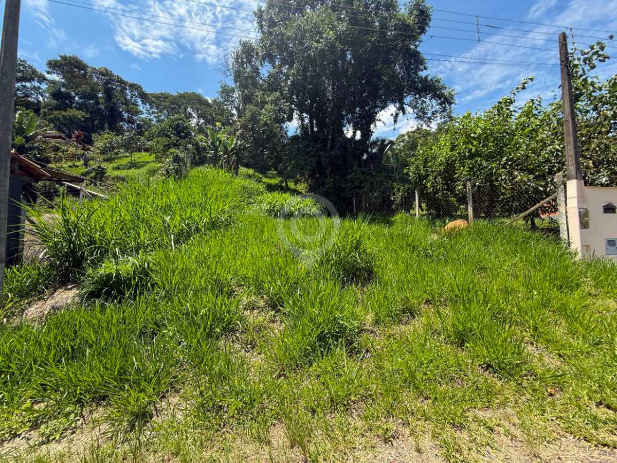 WhatsApp Image 2026-02-18 at 1 - 10