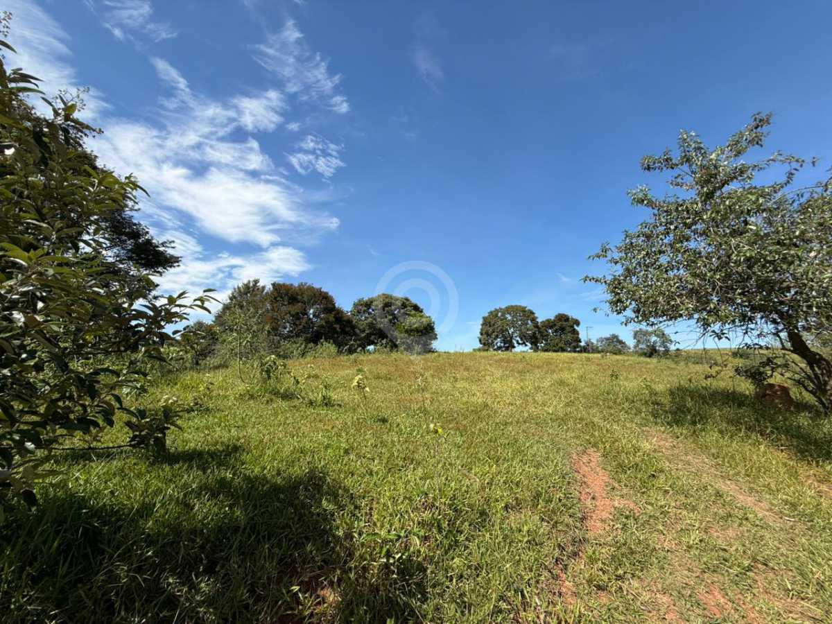 WhatsApp Image 2026-05-07 at 1 - 8