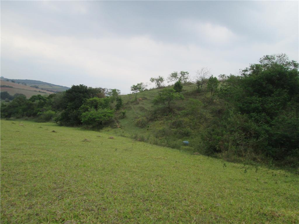 FOTO0 - 1