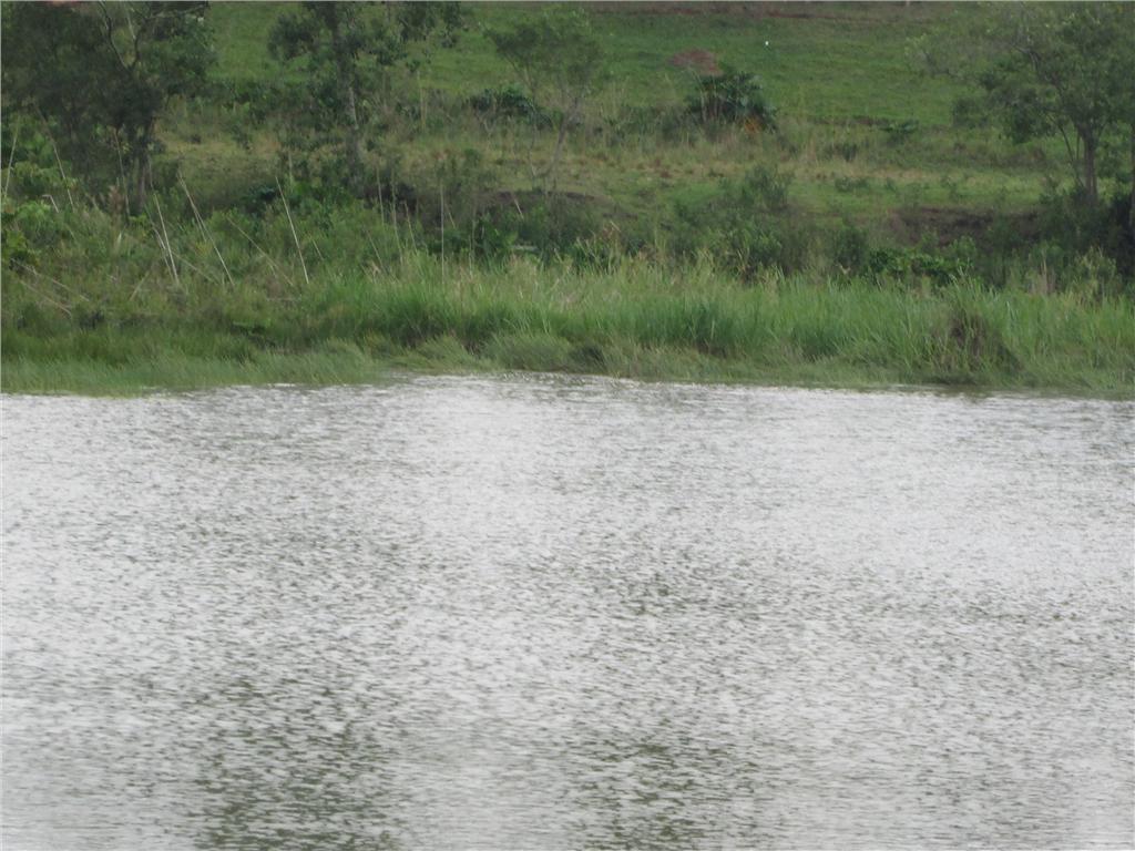 FOTO12 - 13