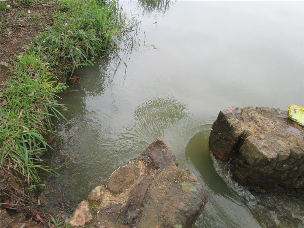 FOTO16 - 17