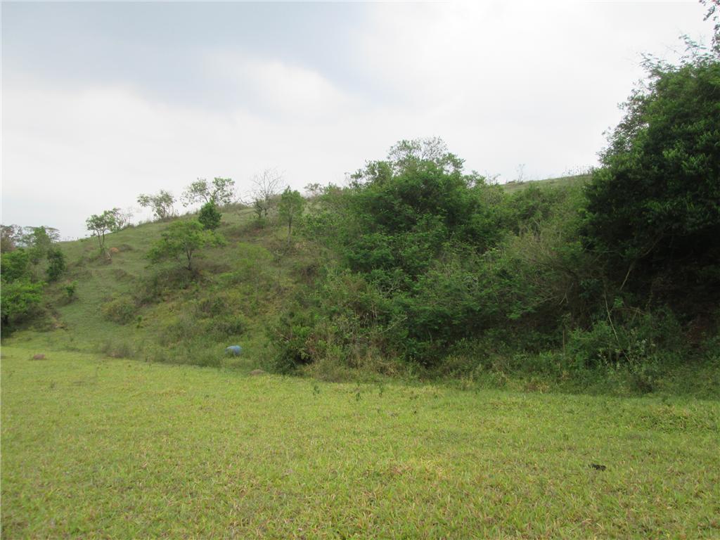 FOTO30 - 31
