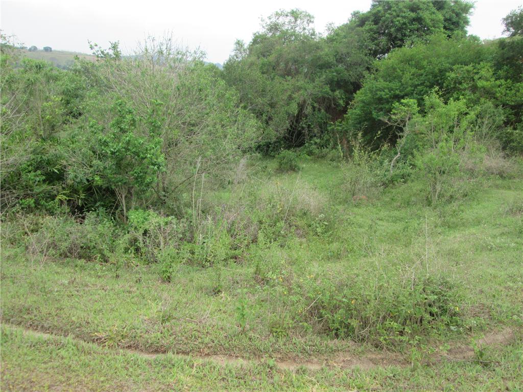 FOTO32 - 33