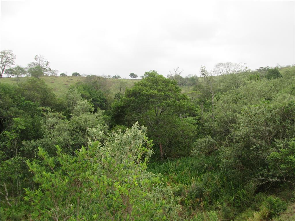 FOTO37 - 38