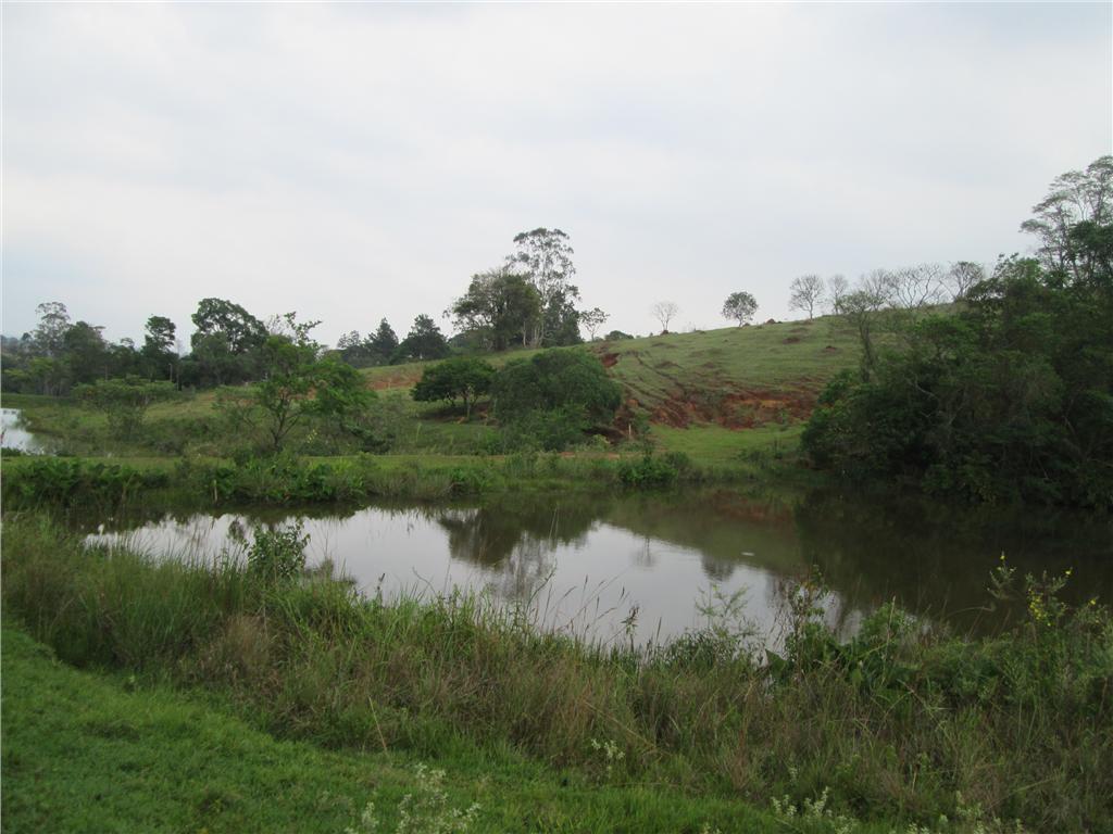 FOTO40 - 41