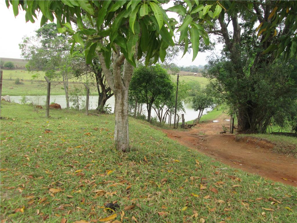 FOTO6 - 7