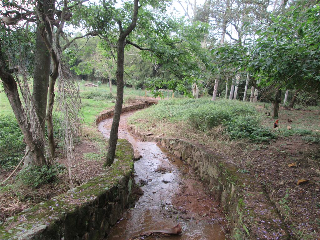 FOTO8 - 9