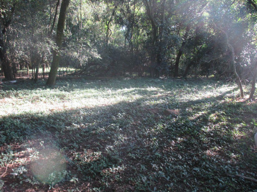 FOTO1 - 2