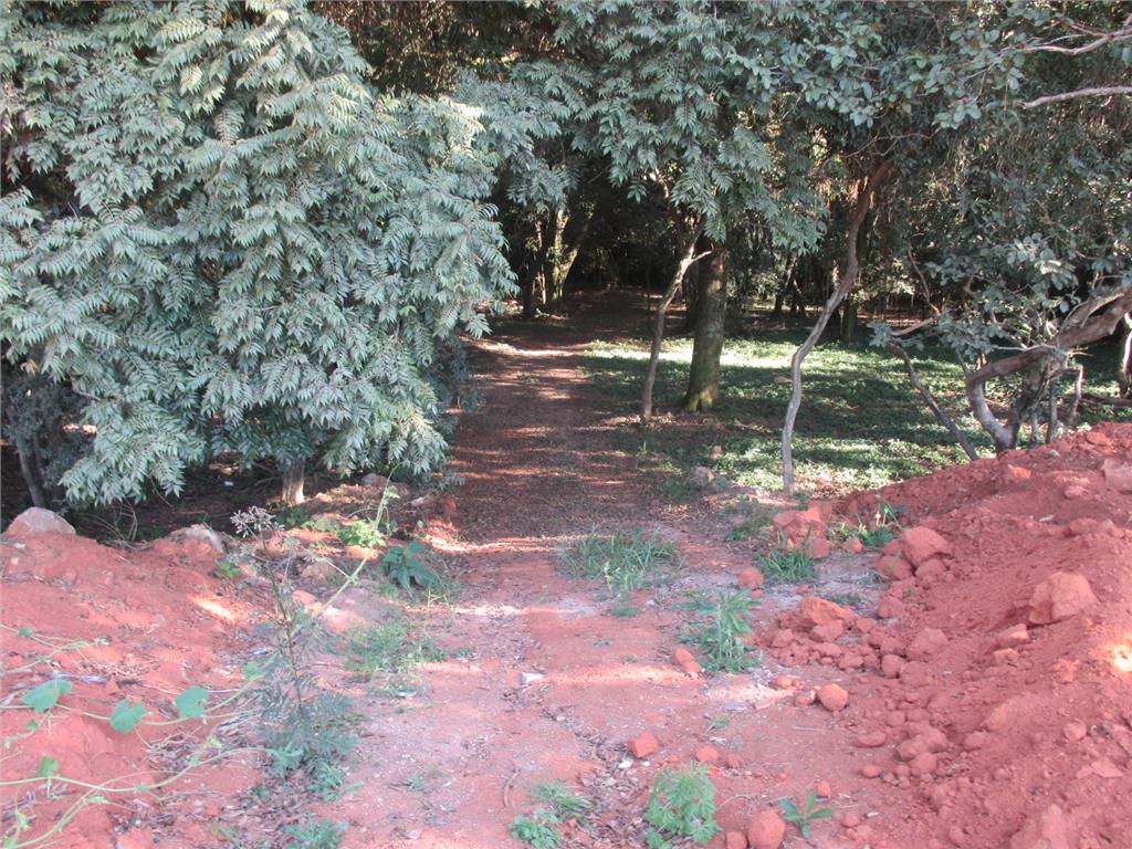 FOTO3 - 4
