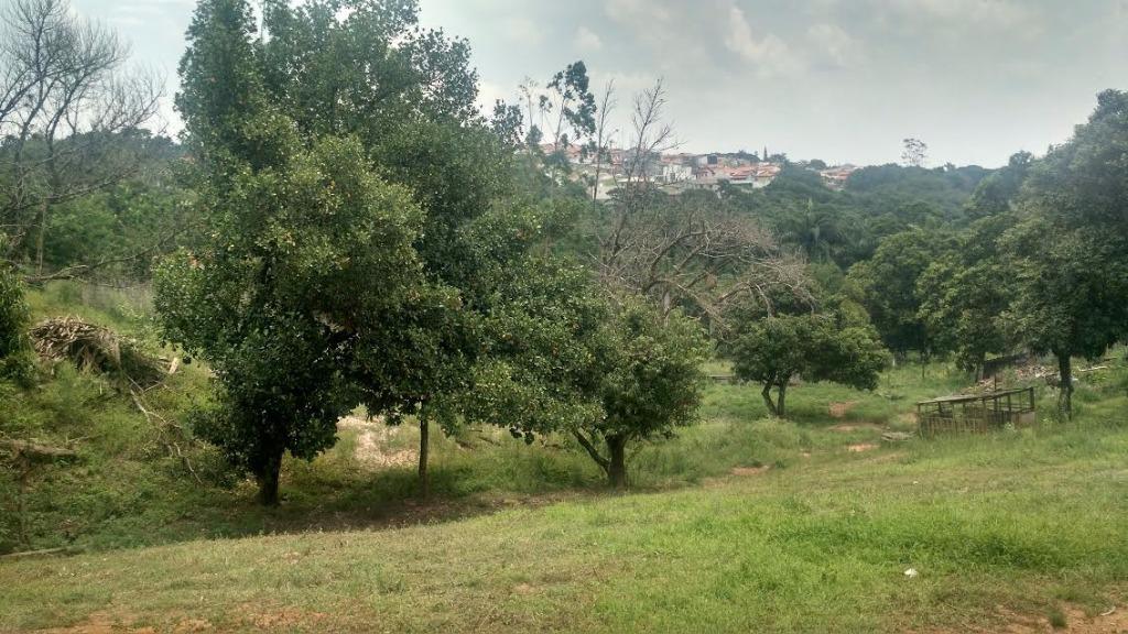 FOTO0 - 1