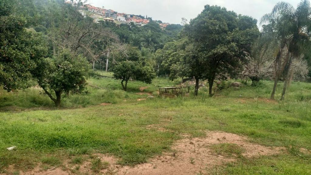 FOTO1 - 2