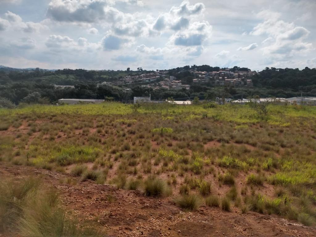 FOTO0 - 1