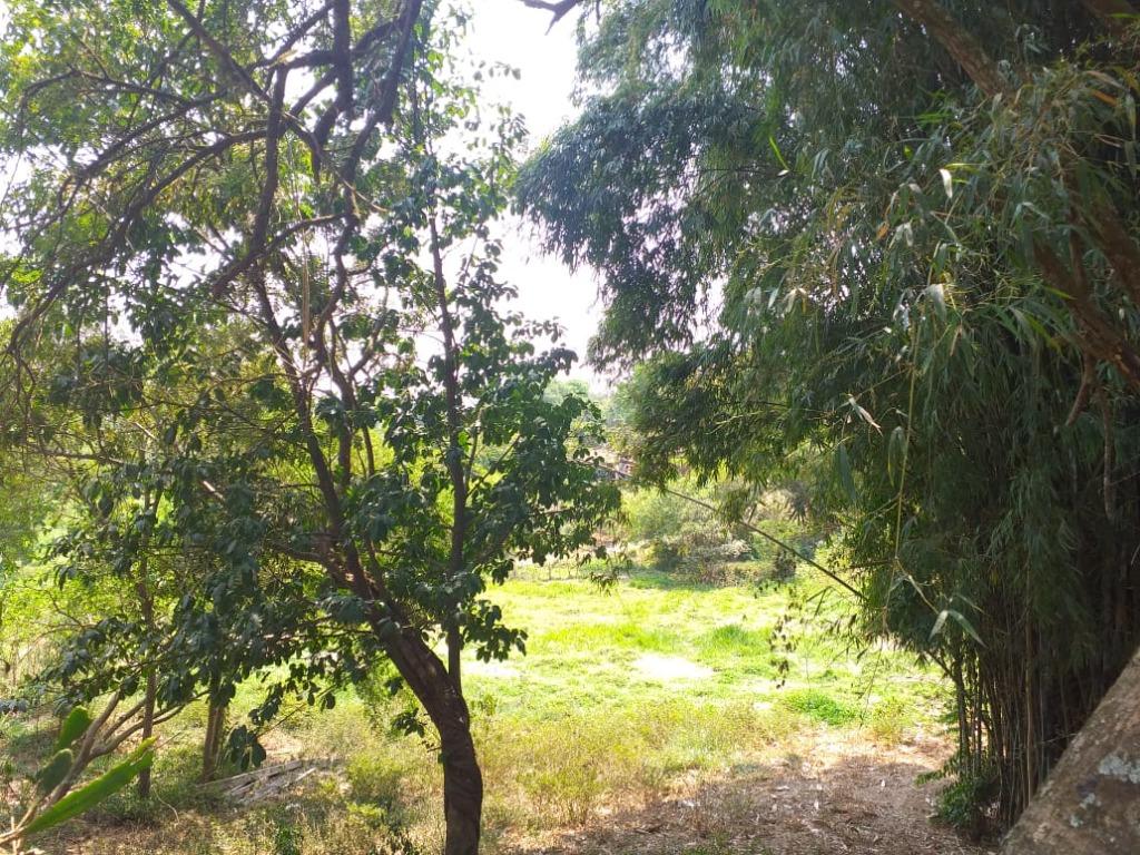 FOTO1 - 2