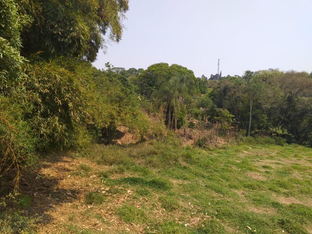 FOTO2 - 3