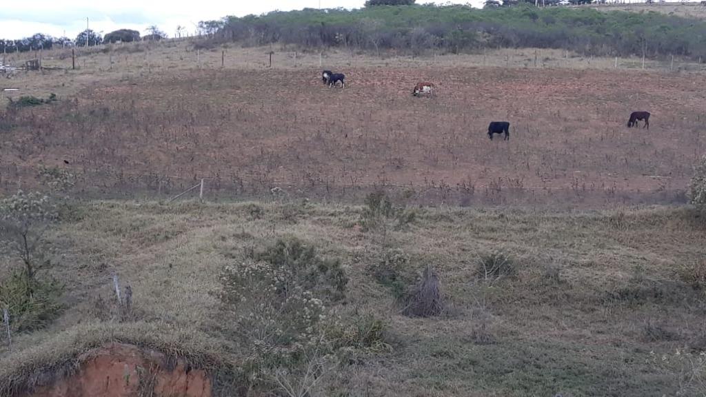 FOTO5 - 5