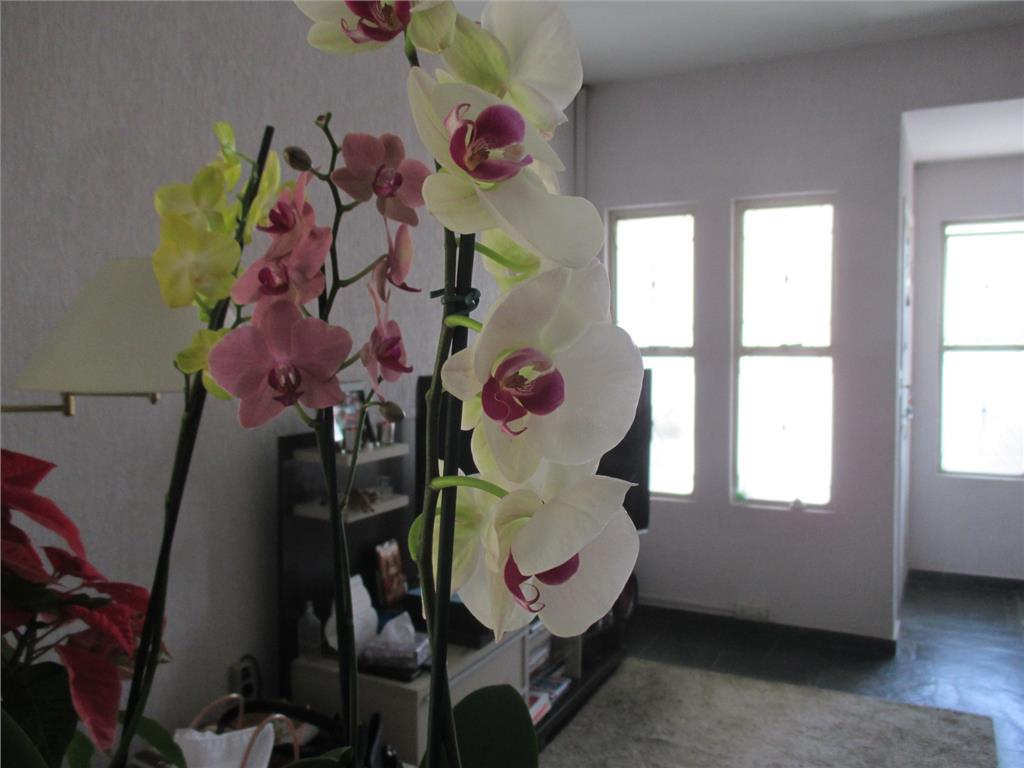 FOTO10 - 8