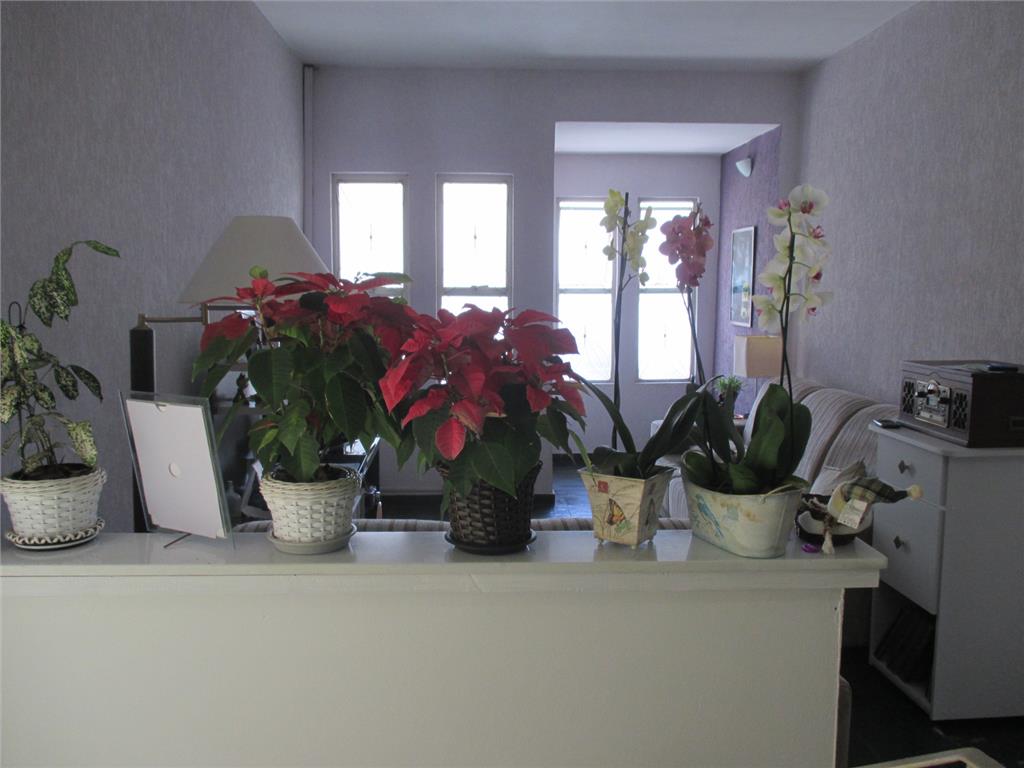 FOTO7 - 4