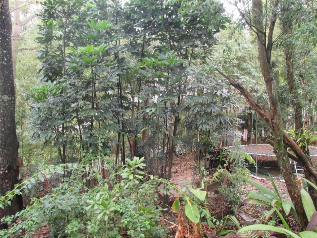 áreaverde-imóvel-venda - 33