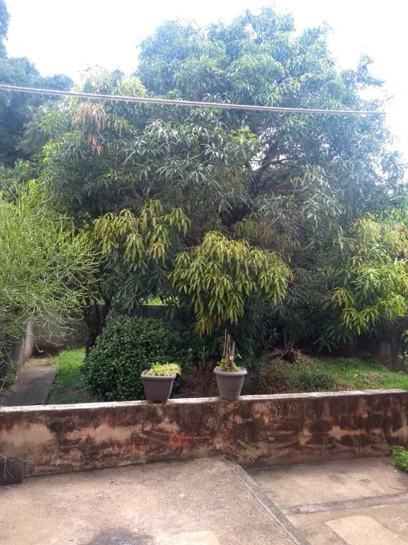 FOTO3 - 7