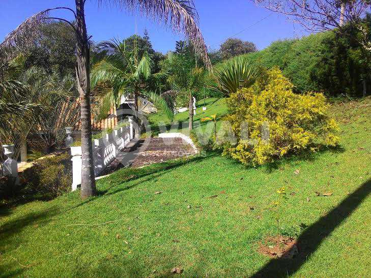 FOTO30 - 28