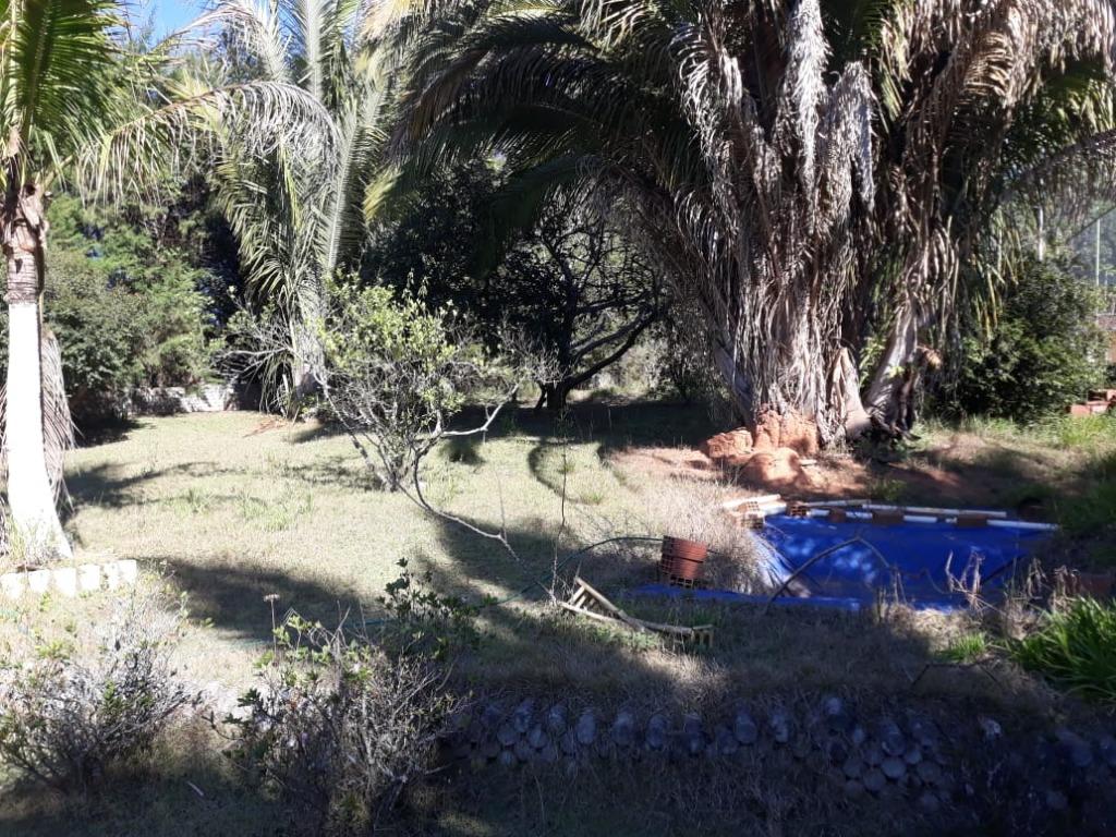 FOTO1 - 10