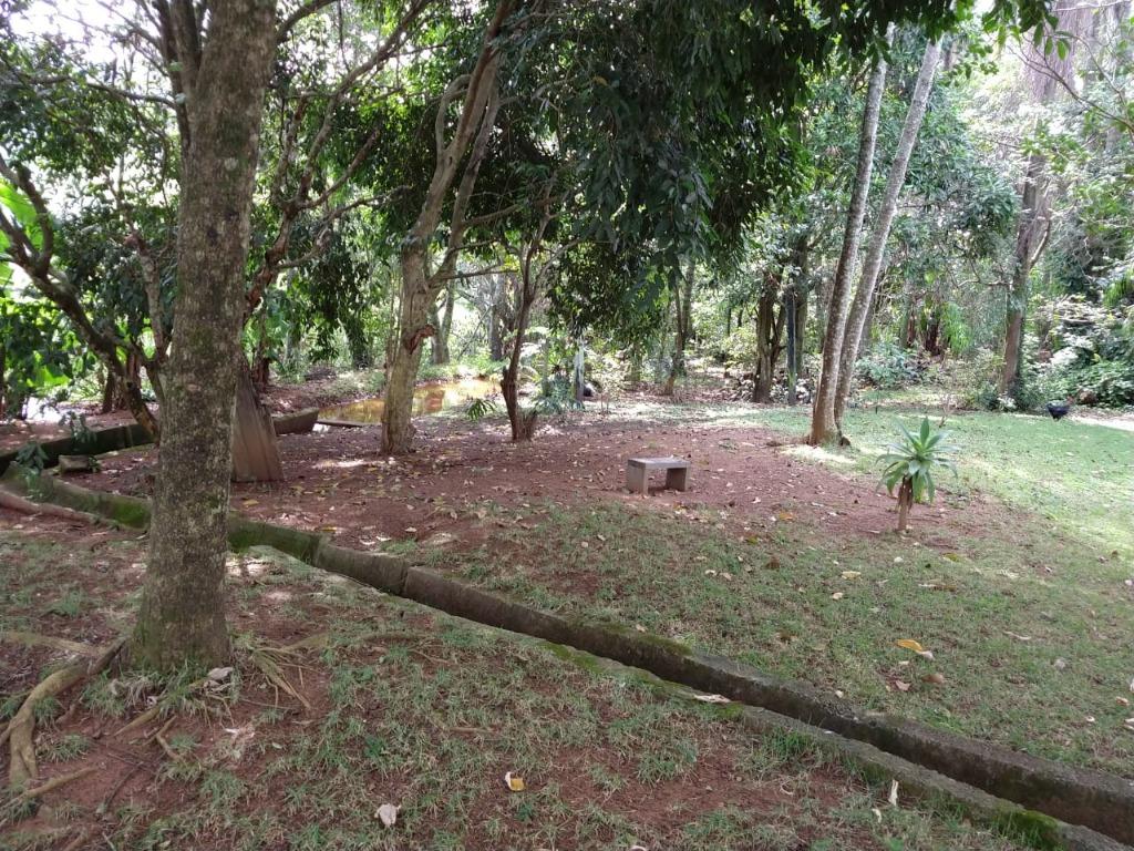 FOTO13 - 7