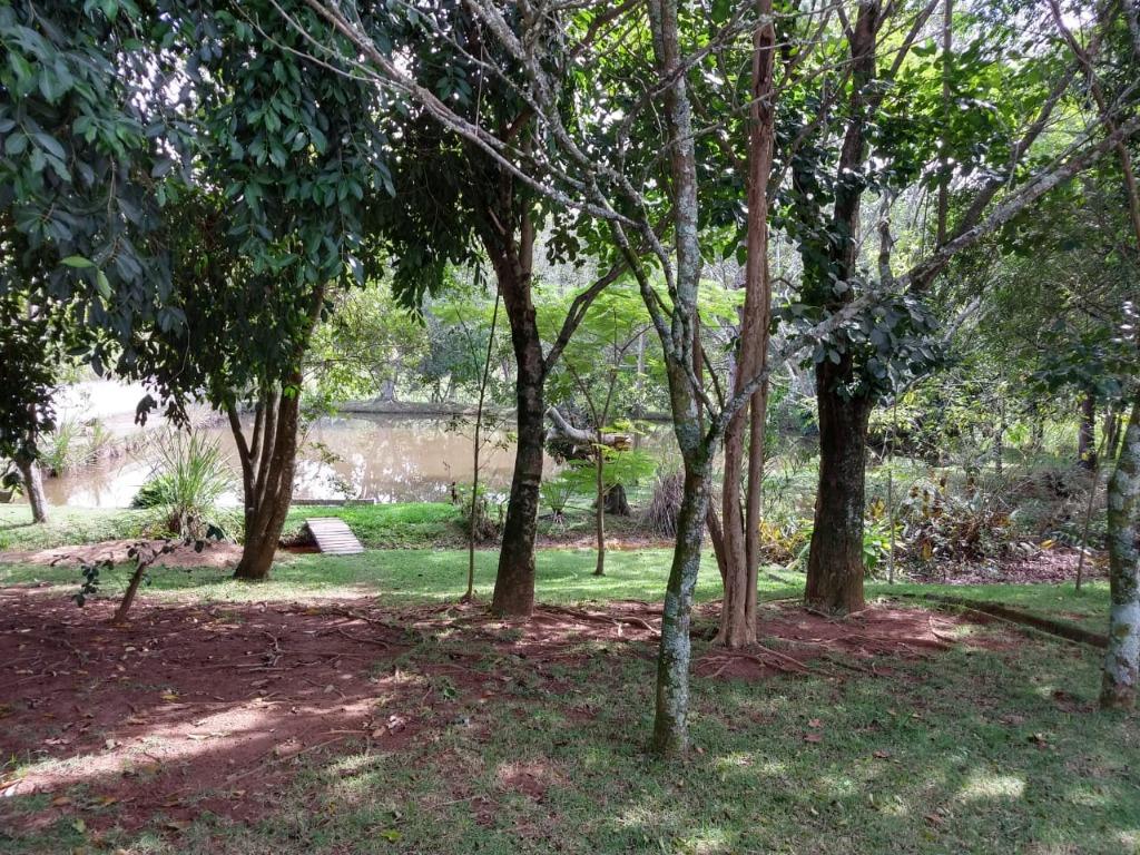 FOTO5 - 6