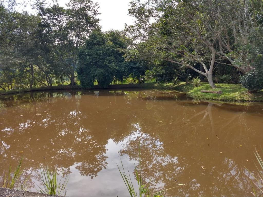FOTO7 - 12