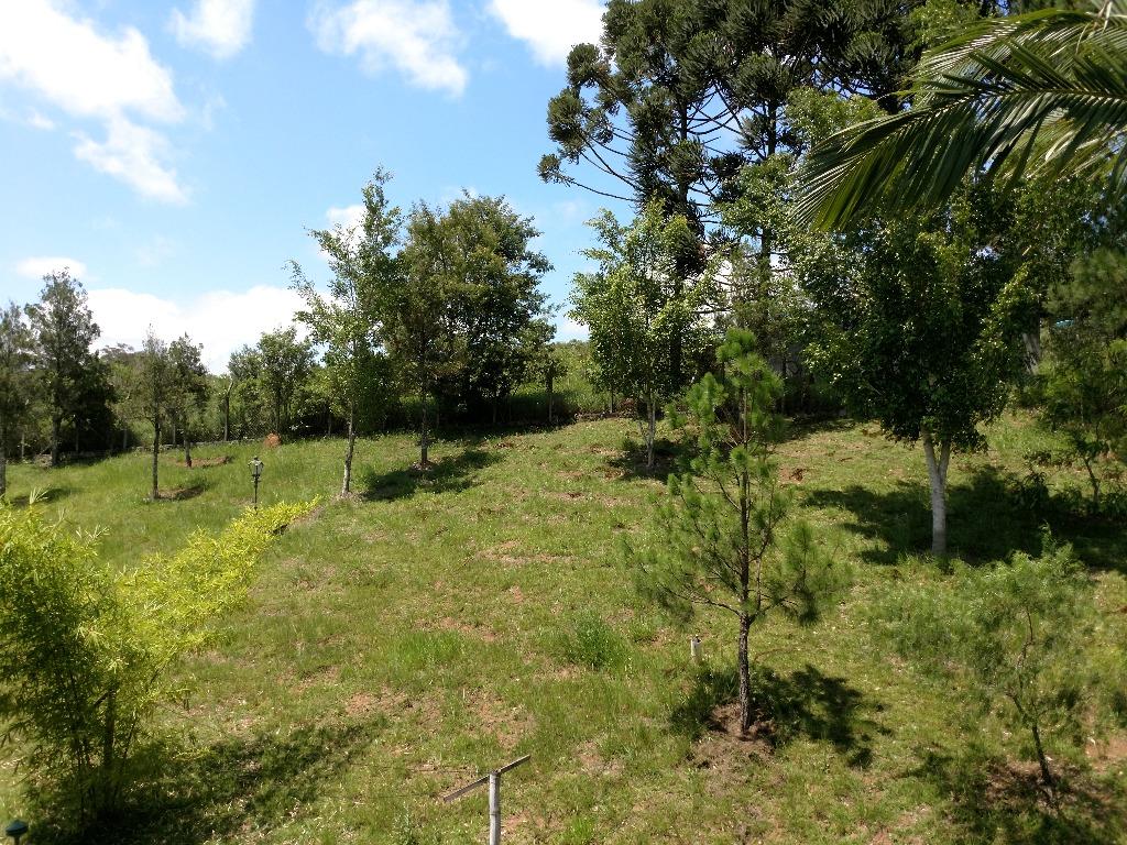 Conheça FOTO41 do imóvel - Haras à venda Bragança Paulista,SP Centro - R$ 12.000.000 - HA0004 - 42 FOTO41 - 42