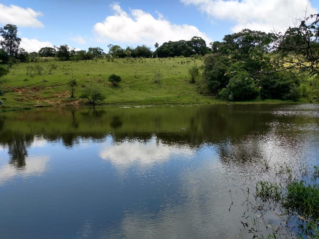 Conheça FOTO5 do imóvel - Haras à venda Bragança Paulista,SP Centro - R$ 12.000.000 - HA0004 - 7 FOTO5 - 7