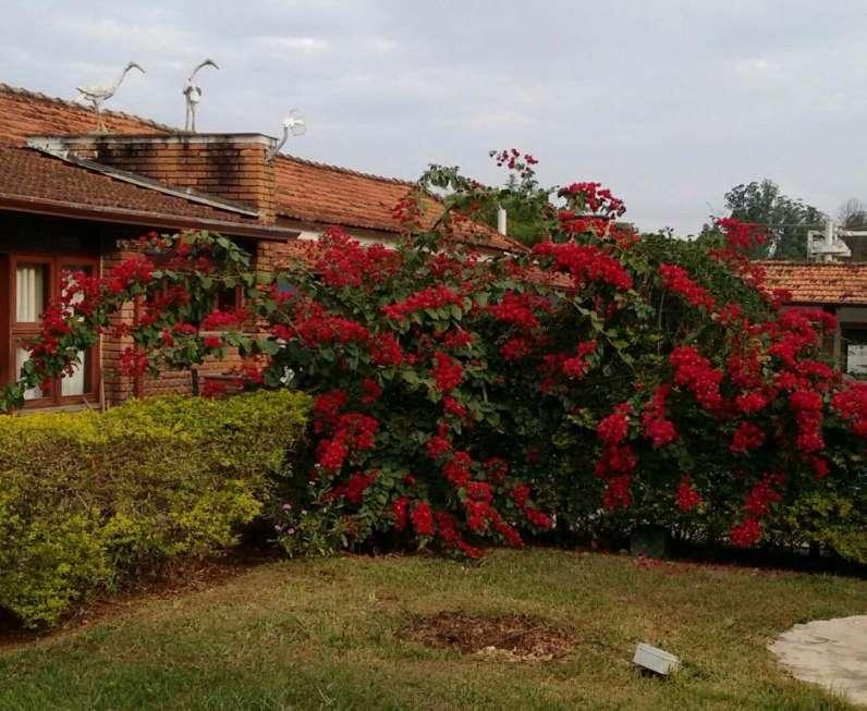 FOTO17 - 38