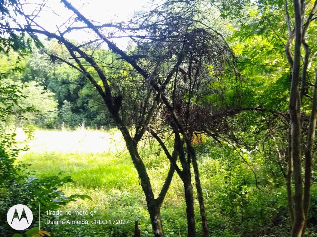 FOTO18 - 20