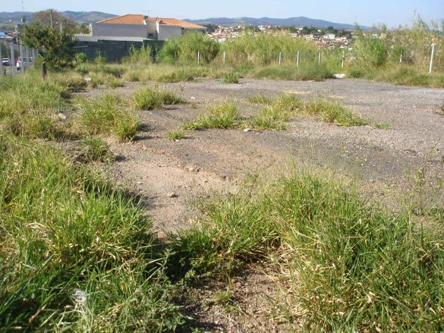 FOTO3 - 4