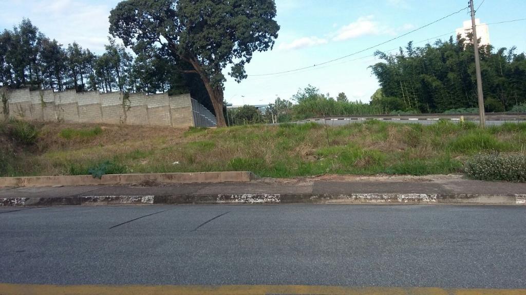FOTO0 - 1