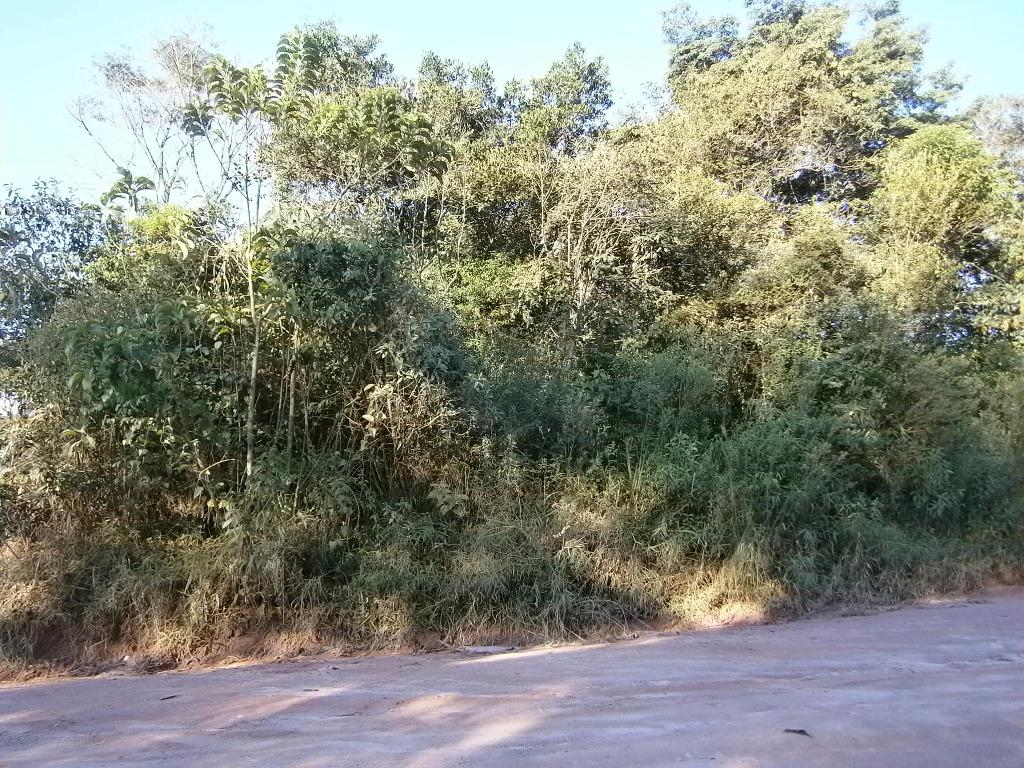 FOTO0 - 1