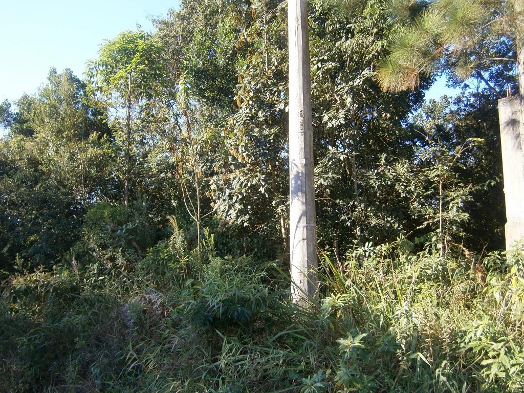 FOTO1 - 2