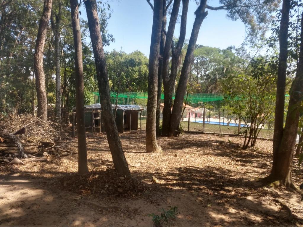 FOTO1 - 2