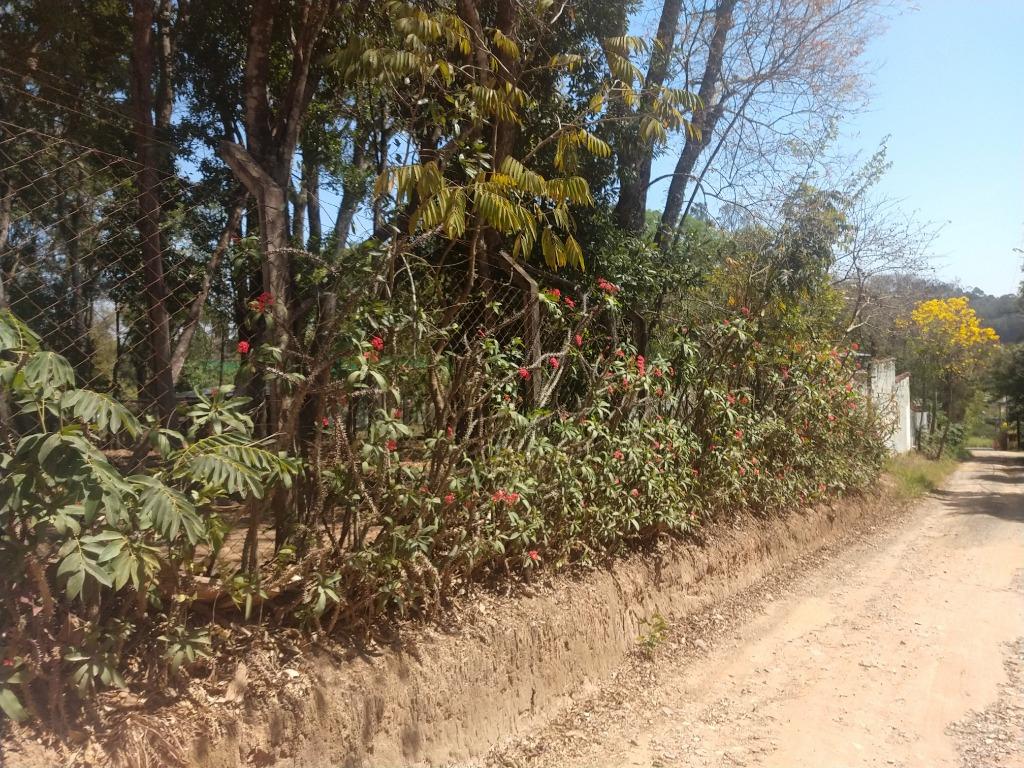 FOTO3 - 4
