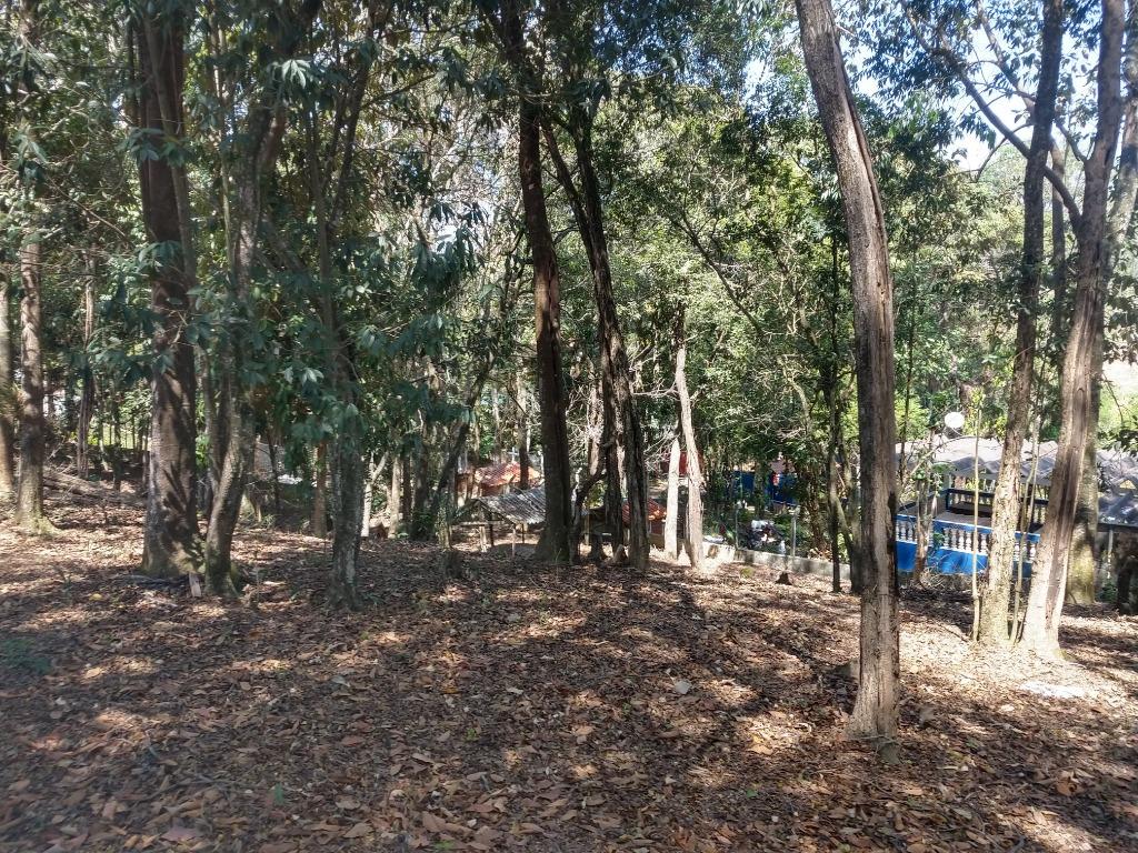 FOTO5 - 6